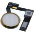 iPad Pro 12.9 (2e Gen) Home Button Flex Cable - Gold