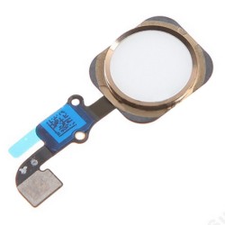 iPhone 6S Plus Home Button + Flex - Gold iPhone 6S Plus Home Button + Flex - Gold