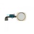 iPhone 6S Home Button + Flex - Gold